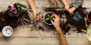 Children potting plants